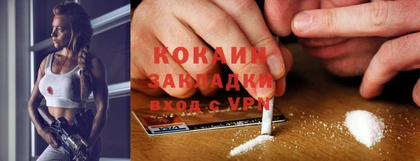 индика Алексеевка