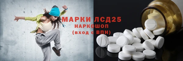 прущие грибы Абинск