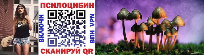 наркошоп  Приволжск  Галлюциногенные грибы Psilocybe 